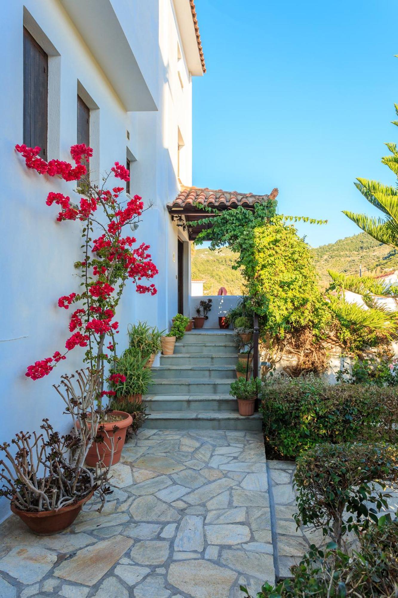 Nikolaos Studios Apartments Скопелос Экстерьер фото