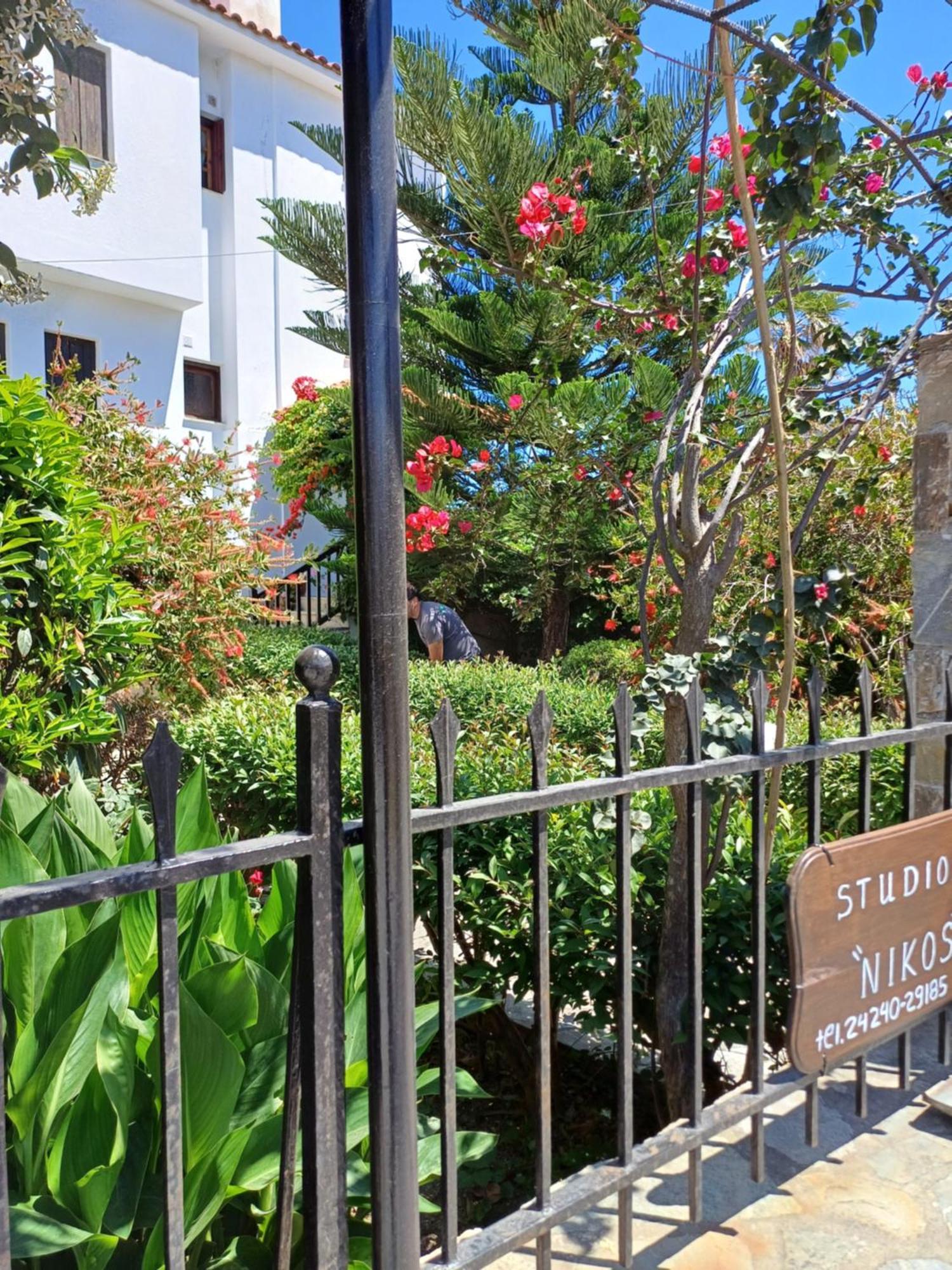 Nikolaos Studios Apartments Скопелос Экстерьер фото